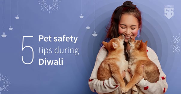 00_5 Pet safety  tips during  Diwali-1
