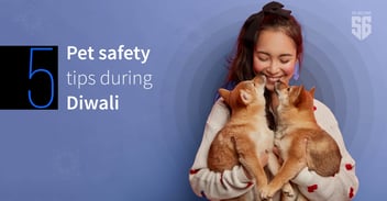 6 pet safety tips during diwali