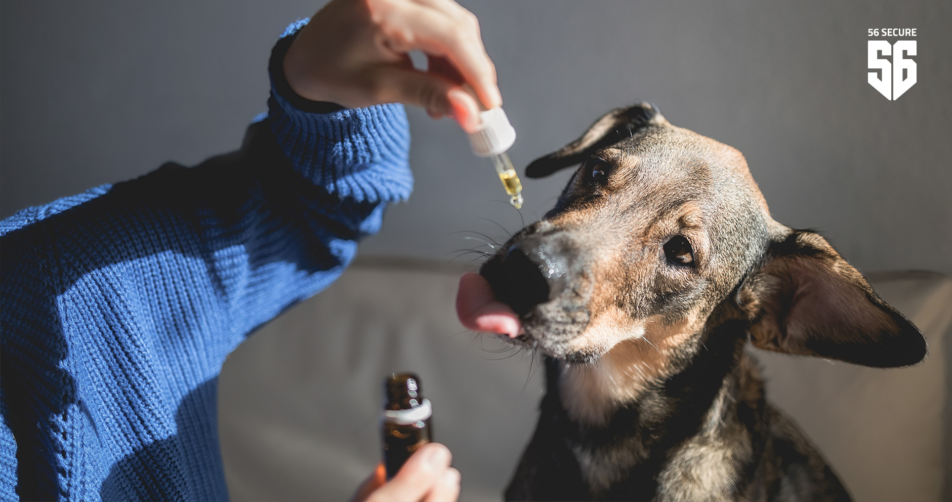 56 Secure Pet safety essential drop Medicine